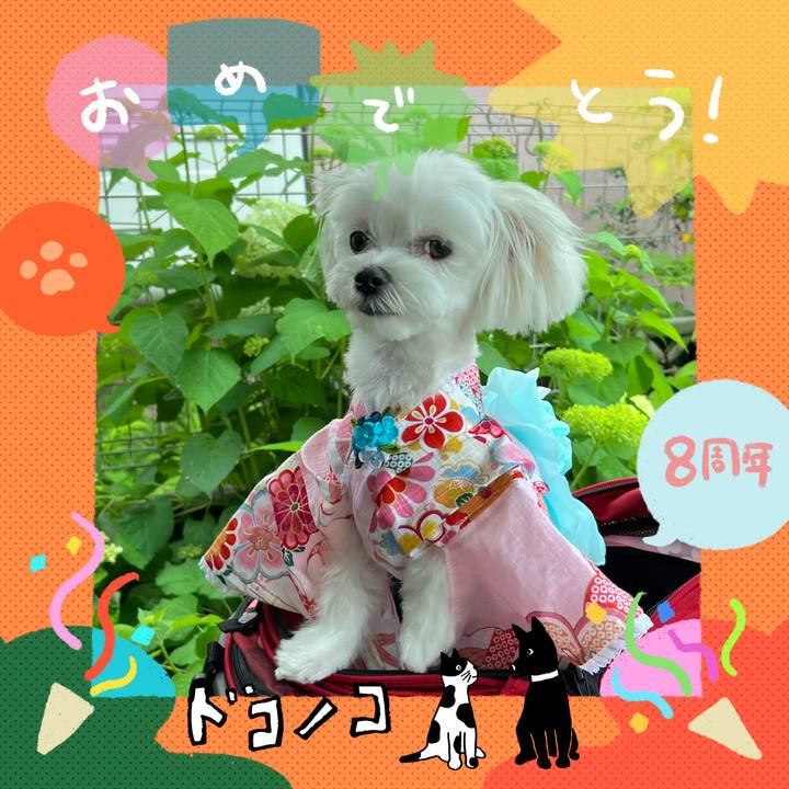 9fd6c78d 722b 48d1 841f e16e04999dd5 1717578994126