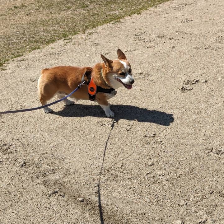 9fd70c74 b67d 400b 8c92 870c9dc7644f 1710755098345