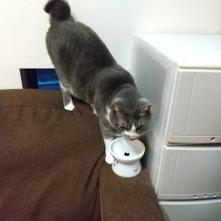 9fd75f6d e8b6 4ea3 a152 9a3b3beb1fb9 1636409750159