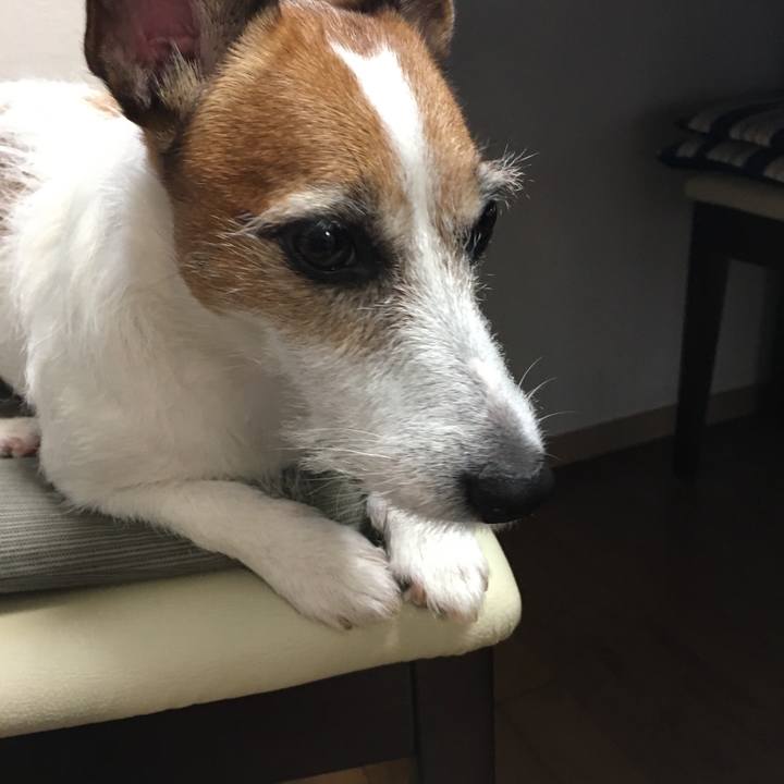 9fd762fc 396f 4e28 a15e 299ec3aa0874 1564010563673