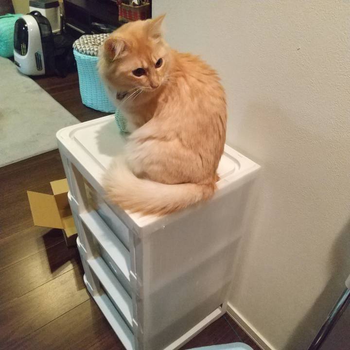 9fd7ba82 1c68 42d1 b1ed b917bbadfd96 1639346621073