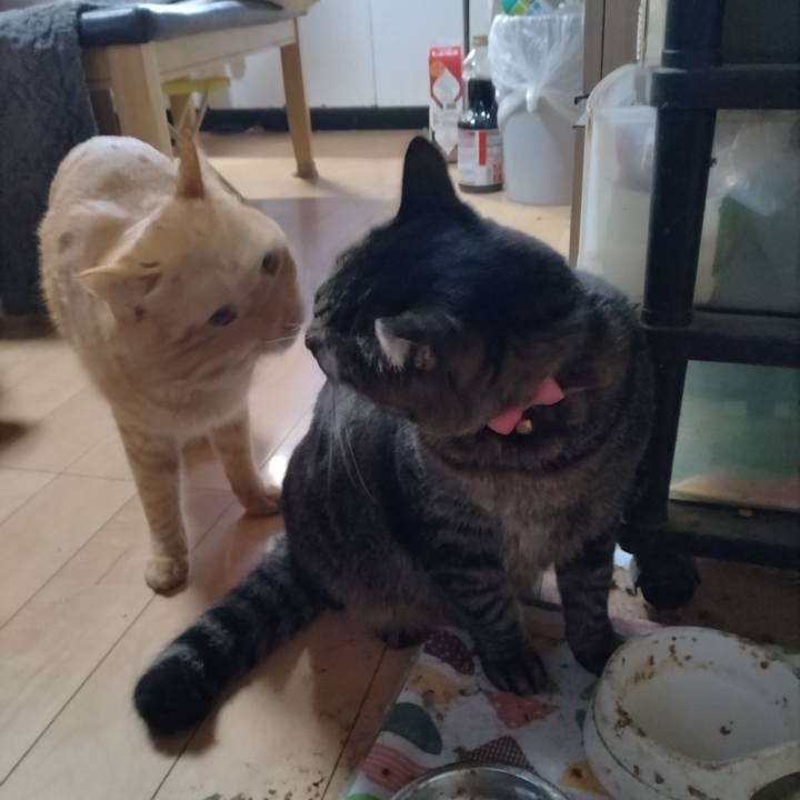 9fd7c827 8c28 4fd4 b0a7 9b622f7f892b 1668898570216