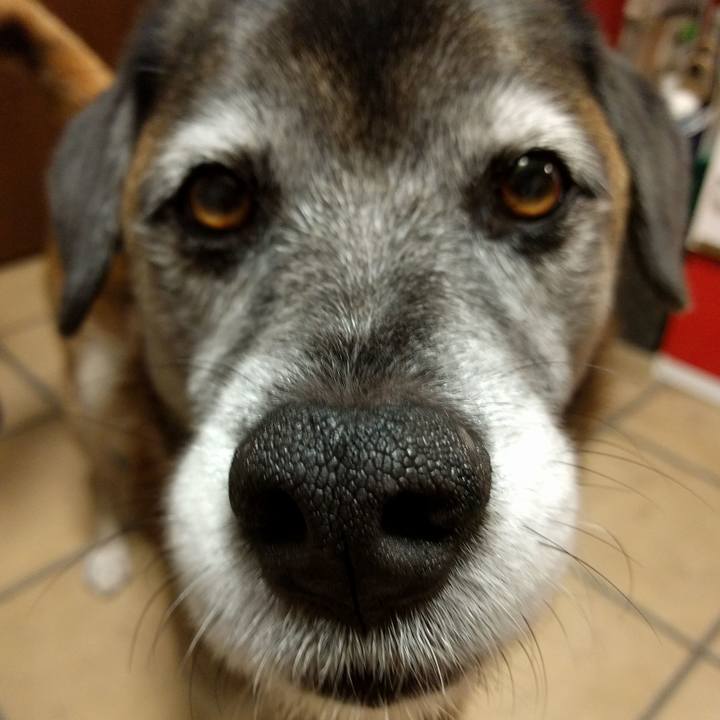 9fd7c9ec a9d1 48b8 9155 3807bf1ea02c 1510995826071