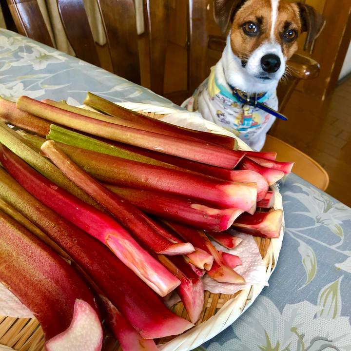 9fd7f213 b00b 433b abda 91255d86e40b 1593065001653