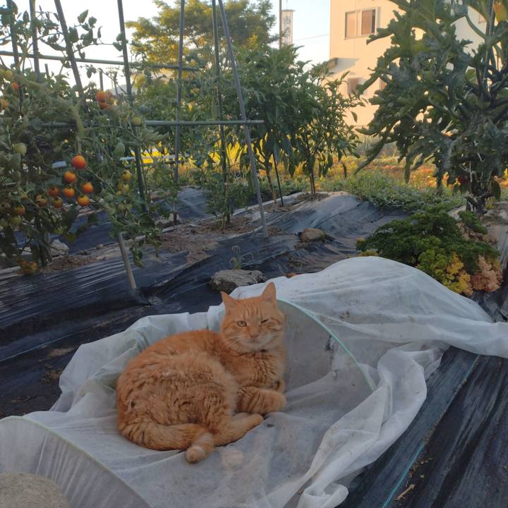 9fd8003e b675 480f bcc4 10e475ecd7e0 1753998435358