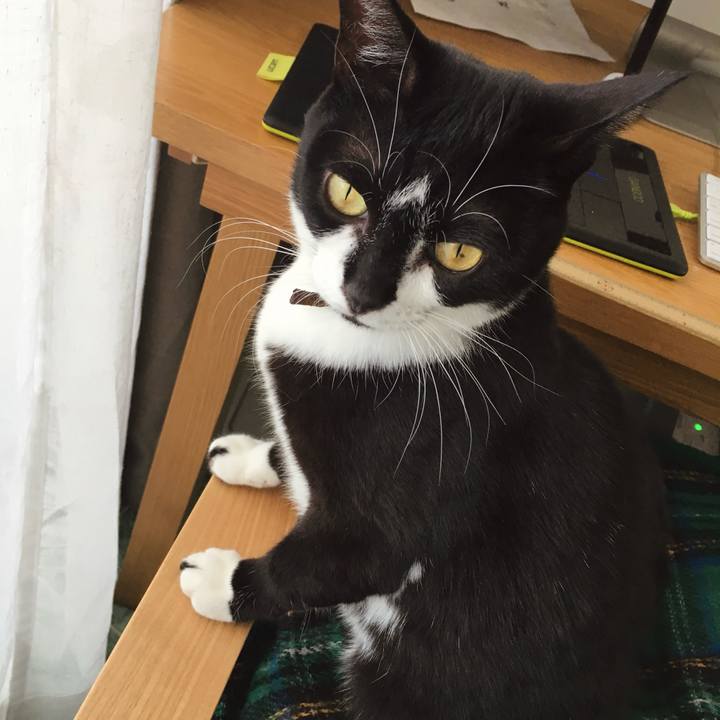 9fd80060 a746 4b1a 9bff 098764700351 1770429693728