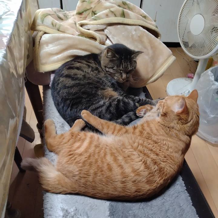 9fd807fd 97ce 450c 805f 75921d816f69 1670633672366