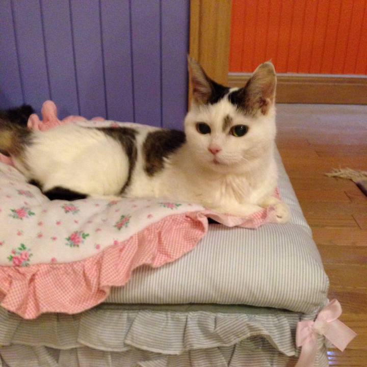 9fd81a02 2526 4e22 8abb 56e9485b9655 1521908089816