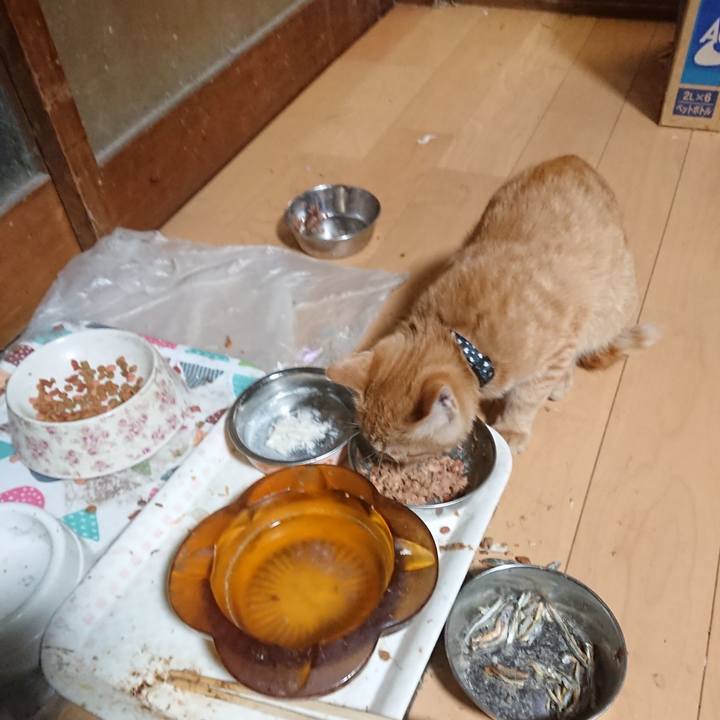 9fd84070 c912 4088 bcfc 7bc364354f97 1634981743066