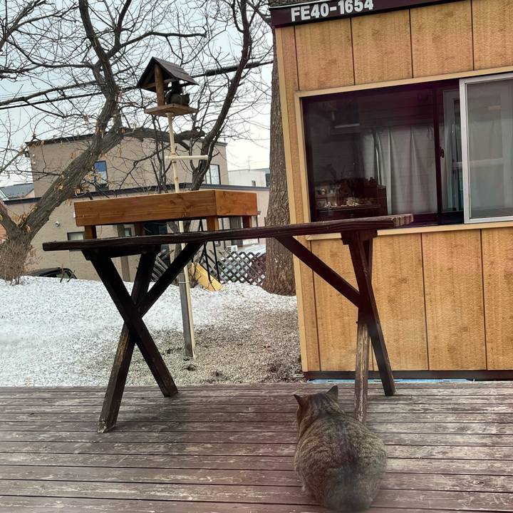 9fd8442c f5b0 42fd 80db 7fb847feb952 1742851947720