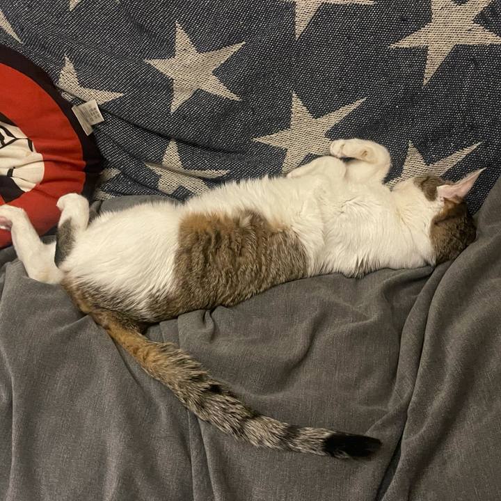 9fd87d59 60d4 4ad5 b7f9 d3fc567f3c1a 1638530969503