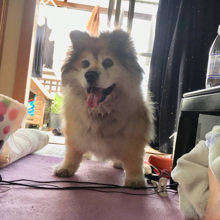 9fd88ebd c16e 44d6 8424 eb3f2d2acb4d 1556763493683