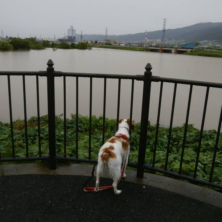 9fd8e543 86b2 4cc9 b085 907394b23e2e 1530866268322