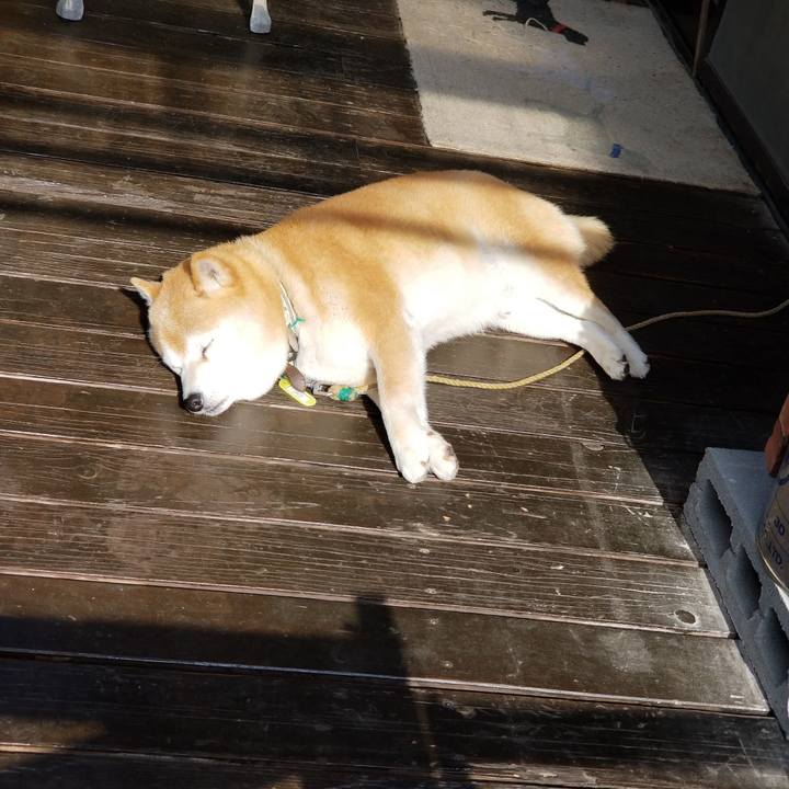 9fd96e0c 42f8 4615 a74f cf486592d240 1652136785565