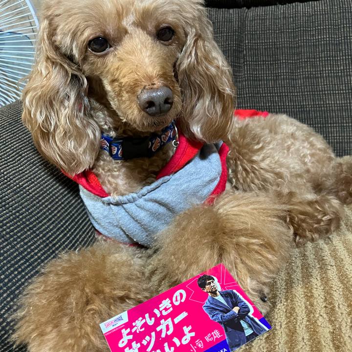 9fd97dd8 7f5a 46fd a516 c6c0a36e2fed 1666387444237