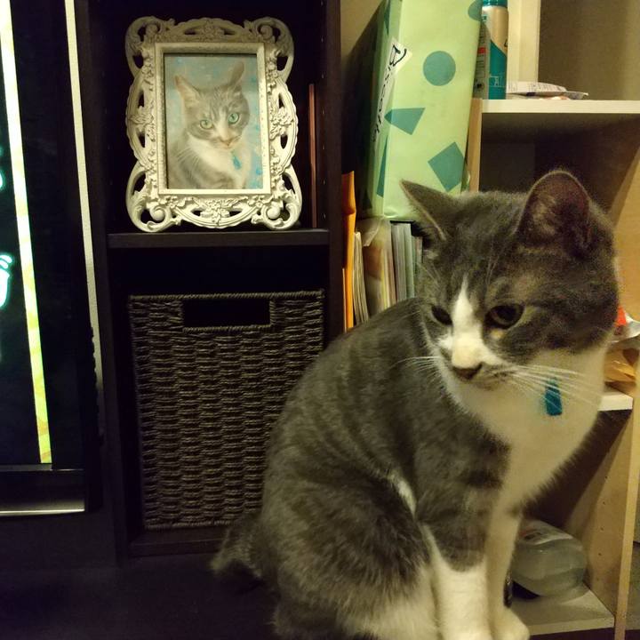 9fd984bc 3123 42ed 9790 016f6eac232e 1606132191244