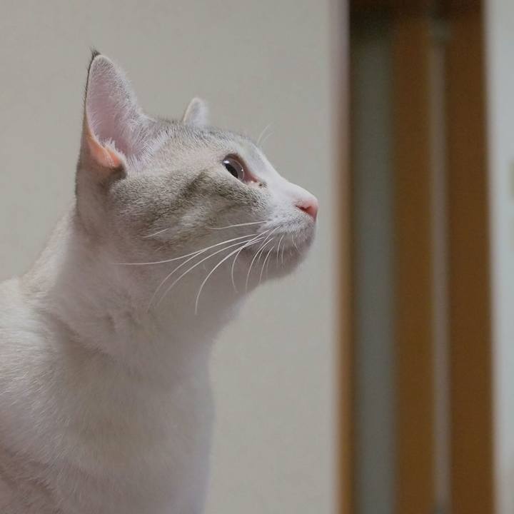 9fd9f5a5 6805 4bdd bc2e b8f95fe669a6 1533700417174