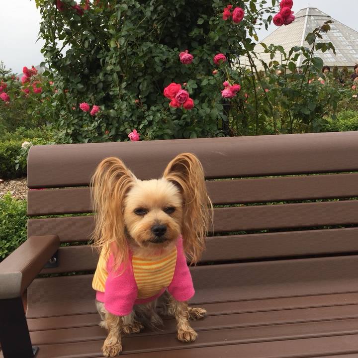 9fda1b0f dec3 4603 8472 411c4cfe05d6 1539167802052