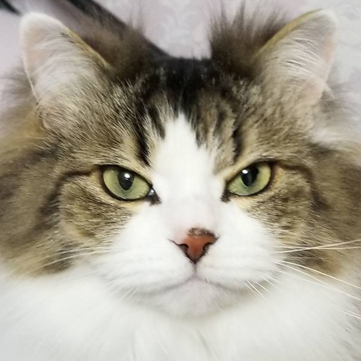 9fda5bd6 8857 4097 a35c 97f5a3fbf661 1582969538093