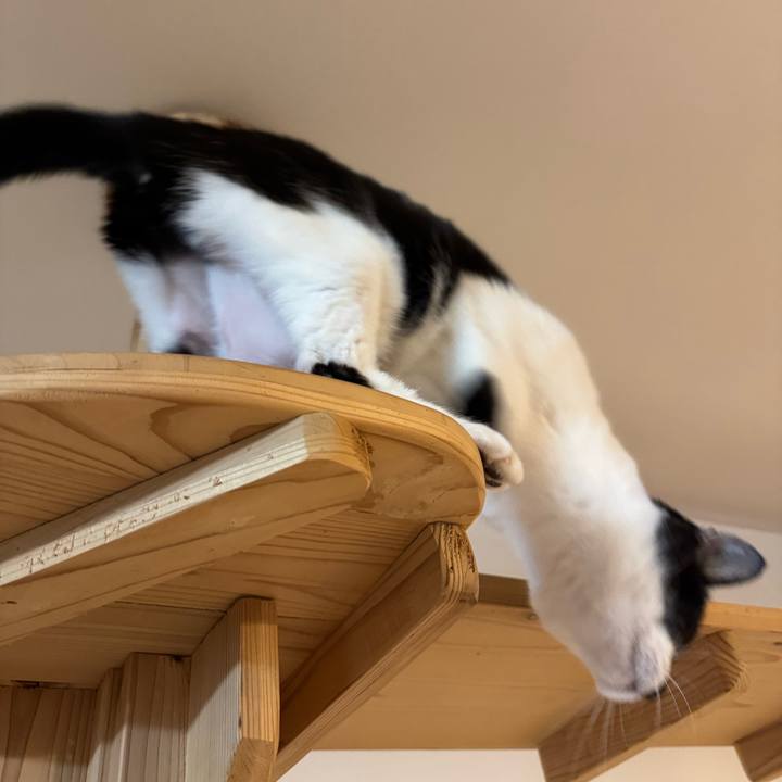 9fda7eff b813 4a3d a0ce 67a58819b389 1772419976041