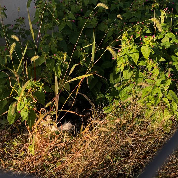 9fdaa592 86d0 464d b186 1208270520f7 1607438175988