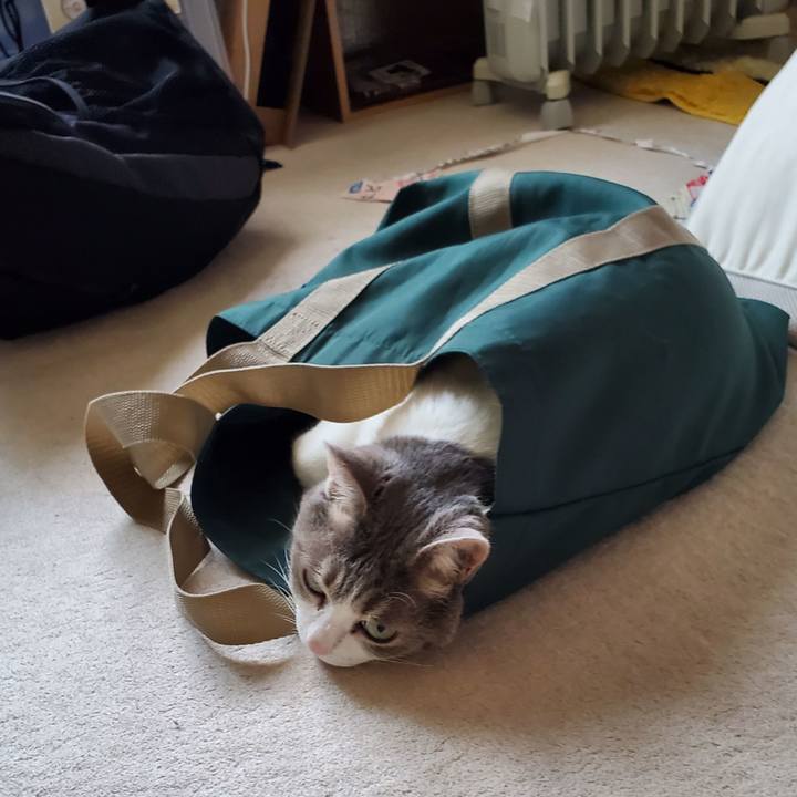 9fdaa912 be46 4170 bd81 f6c0dd18f536 1721368072964