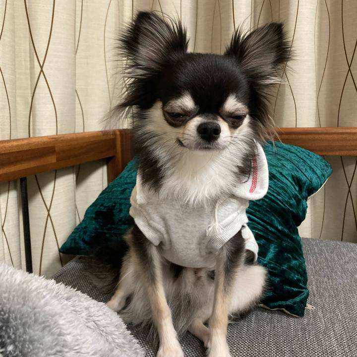 9fdad373 4945 4397 86e6 5ef3ee0bb3a4 1642945234246