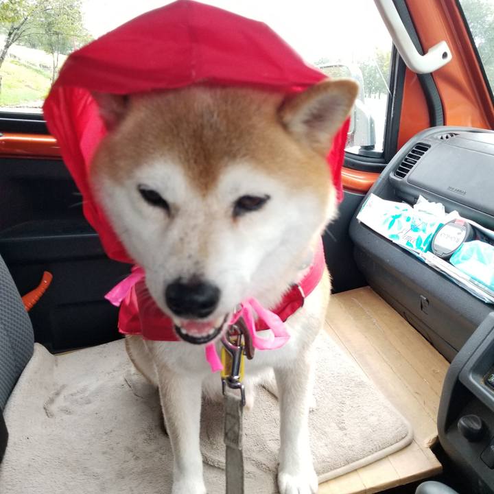 9fdae959 a878 4ca3 ab73 3a77568a1f03 1631080285678