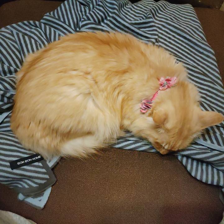 9fdb0bdc 870d 47af 97d6 c271b38db3c4 1665318612710