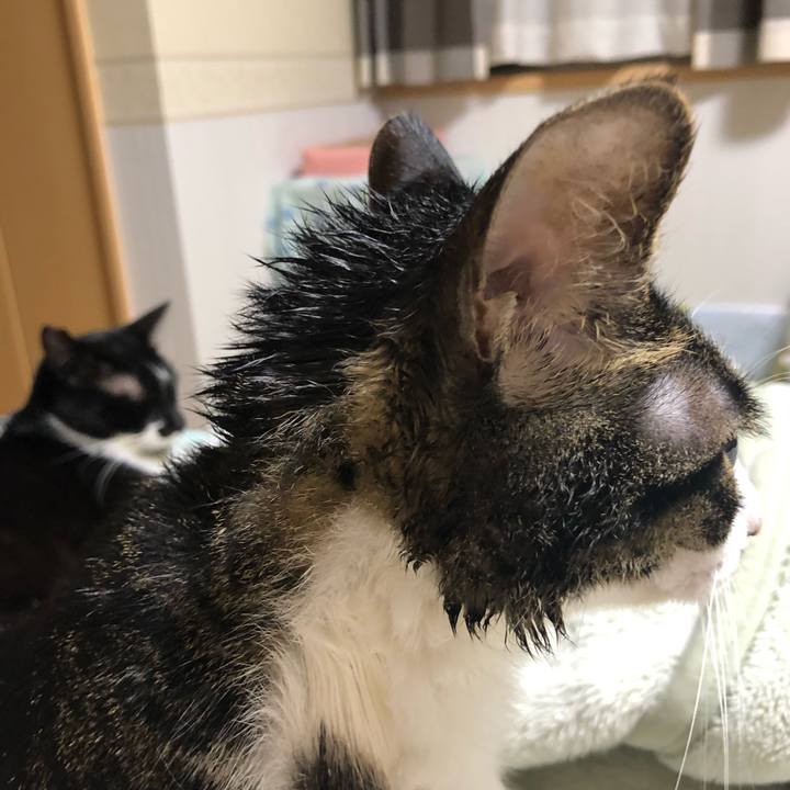 9fdb1367 f716 47ed 88c2 9372ffb2009a 1559729021584