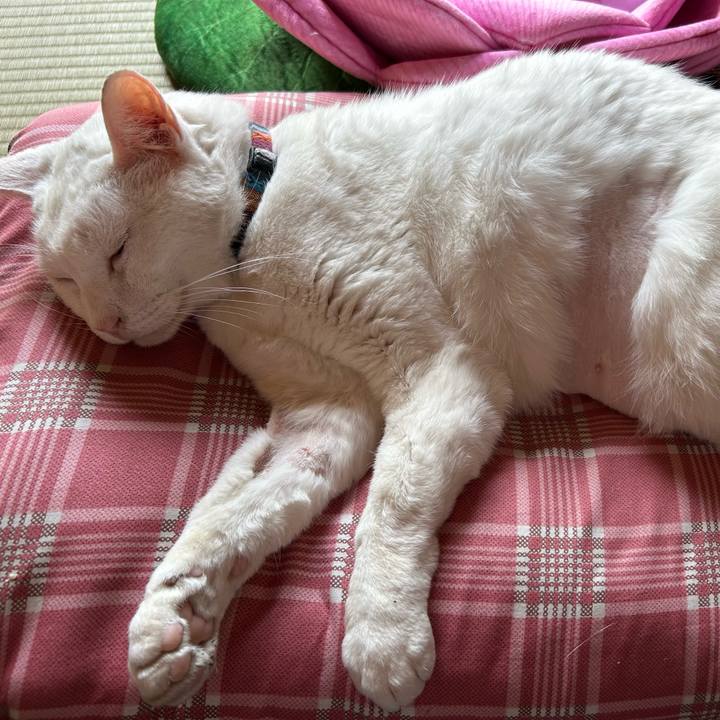 9fdb3199 d3e3 4ef3 93a3 8d1be04d0ff6 1686181849036