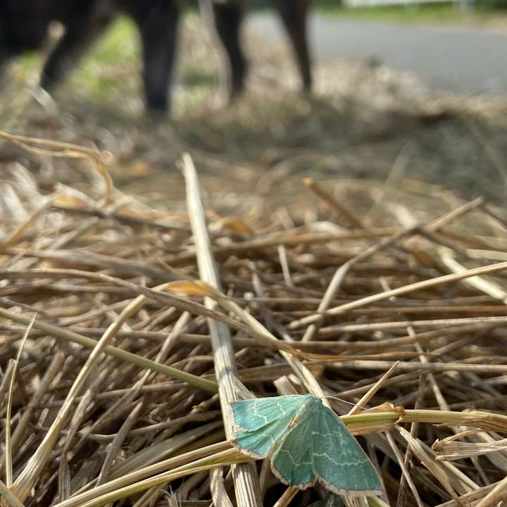 9fdb4f15 af5e 4e4d ba93 012fd2b1653c 1592434079686