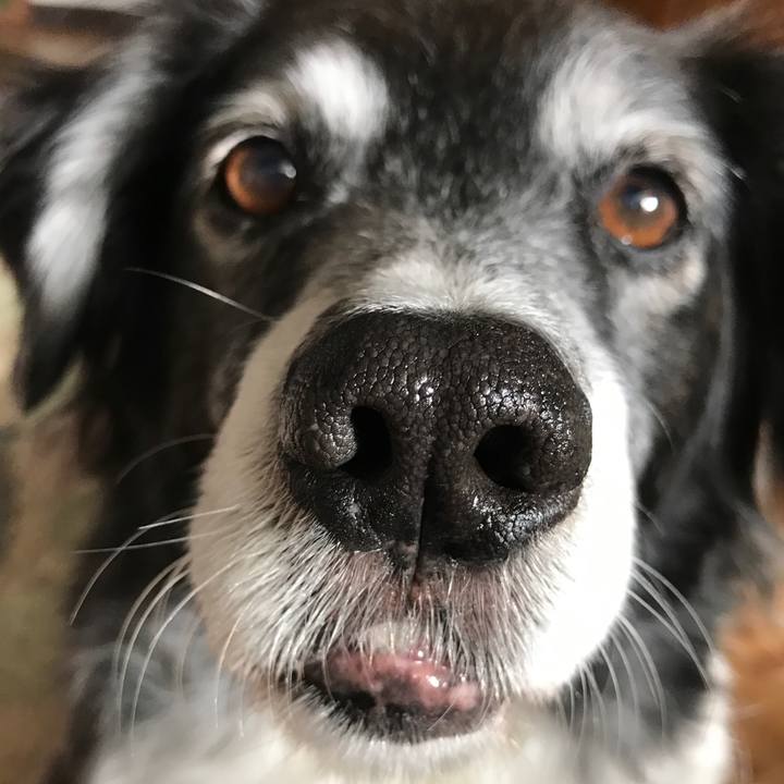 9fdb5890 14ca 44d0 b611 03652e34737d 1523663012224