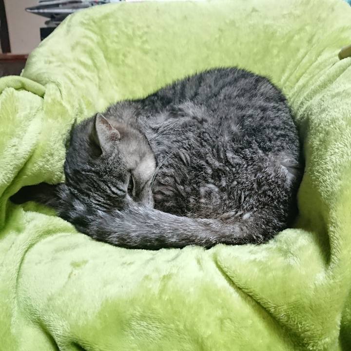 9fdb817c c397 4162 9725 ea7382e985f3 1583793033422