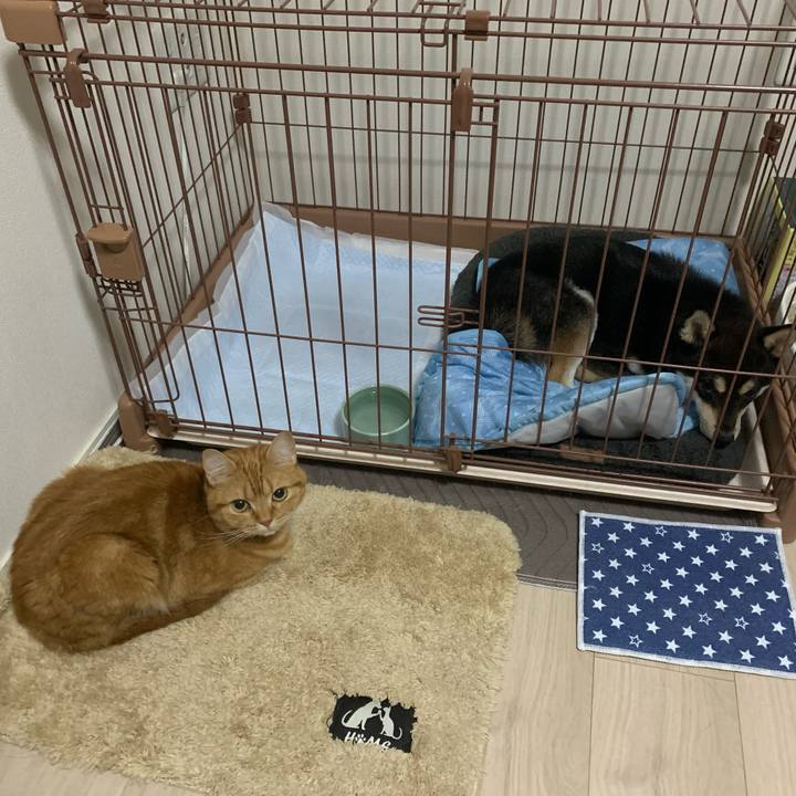 9fdbb20a ca81 4897 a4ed fecee7b3c29e 1622541979373