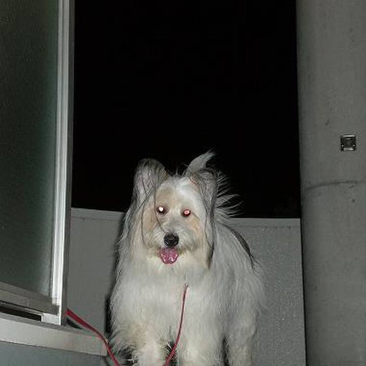 9fdbc814 300e 489f a26d 8484013bfee4 1507872773627