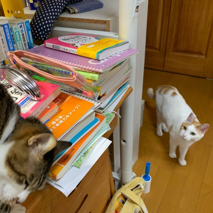 9fdc0d07 223e 463e afbd b022aba6bedd 1624740806104