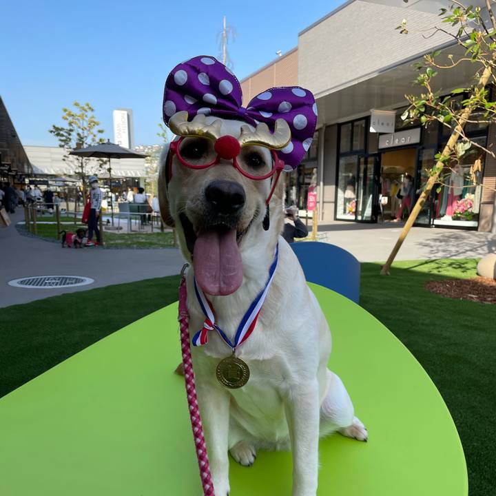 9fdc1196 822a 488d b51d 1c18fa14eaed 1651058282812