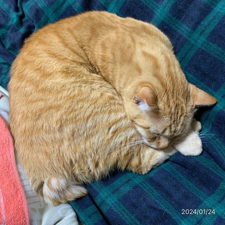 9fdc2a95 523f 415a a152 0e14d060aede 1706047258120