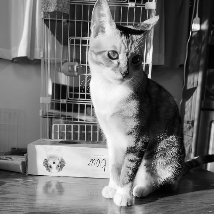 9fdc5aed d6f9 4041 9d71 ac8d369e67bb 1666650583196