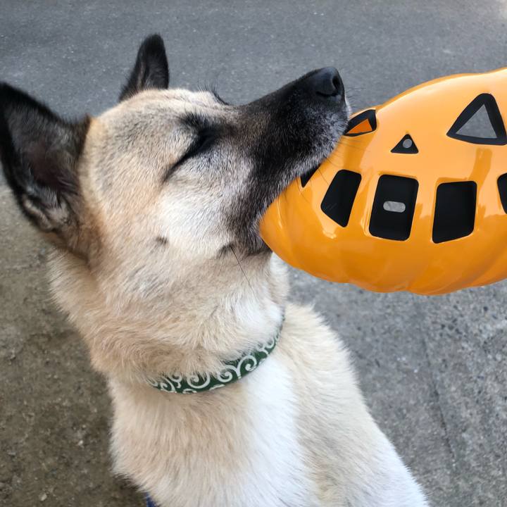 9fdc668d a5b9 4132 9841 f0745fd0eb6a 1635678556634