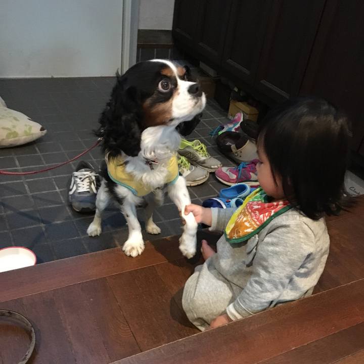 9fdc79f6 4066 4d3b 92ba 18bd50634711 1510634294695