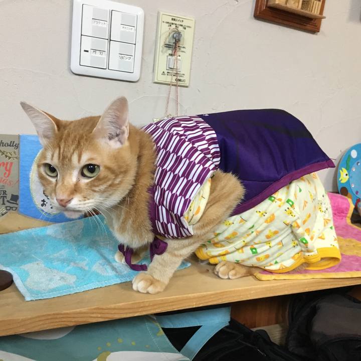 9fdc8d4b 1caa 4e52 bf61 8d7ab4651cbf 1515150304481