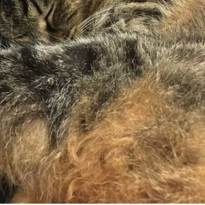 9fdc9454 bee9 4746 9135 ff51580b8893 1761985566015