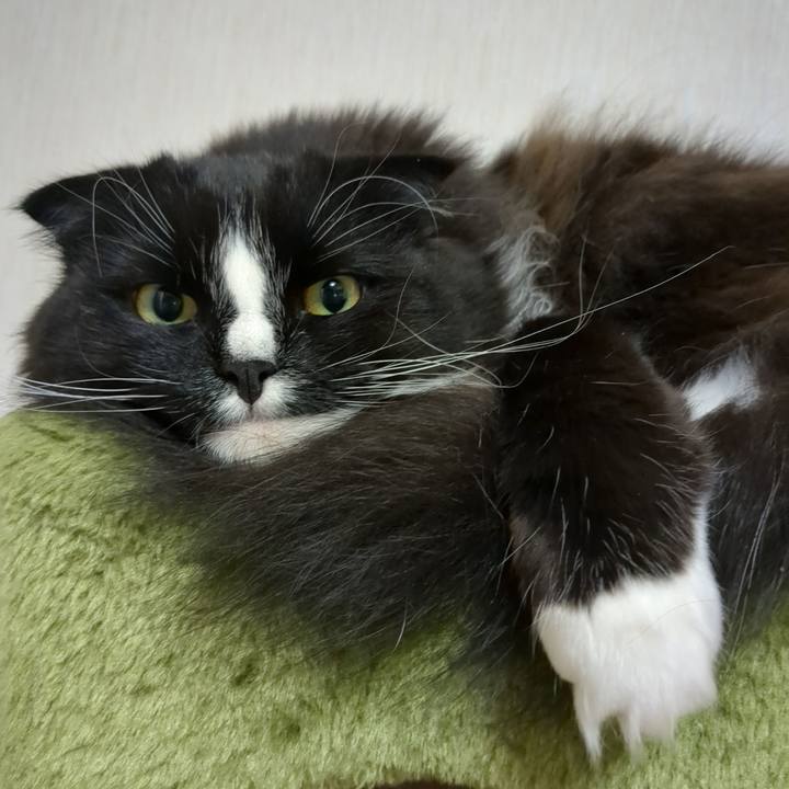 9fdca861 1845 469a 81ee 541f0e7c902d 1682682234454