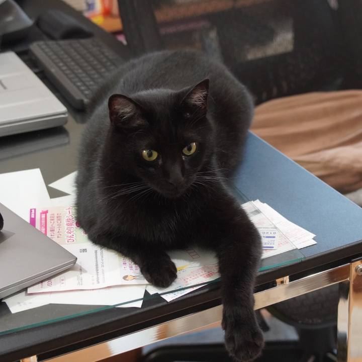 9fdd12f0 2052 4887 bd6f 146f799007cf 1656121663313