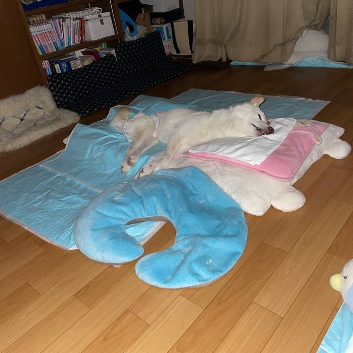 9fdd1516 ea16 4aa0 8693 6f30e48f23e7 1665777046312