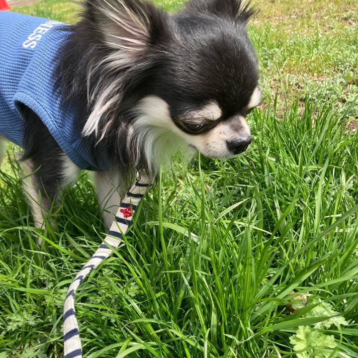 9fdd1567 13eb 4588 abf7 86af103da09b 1616216096466