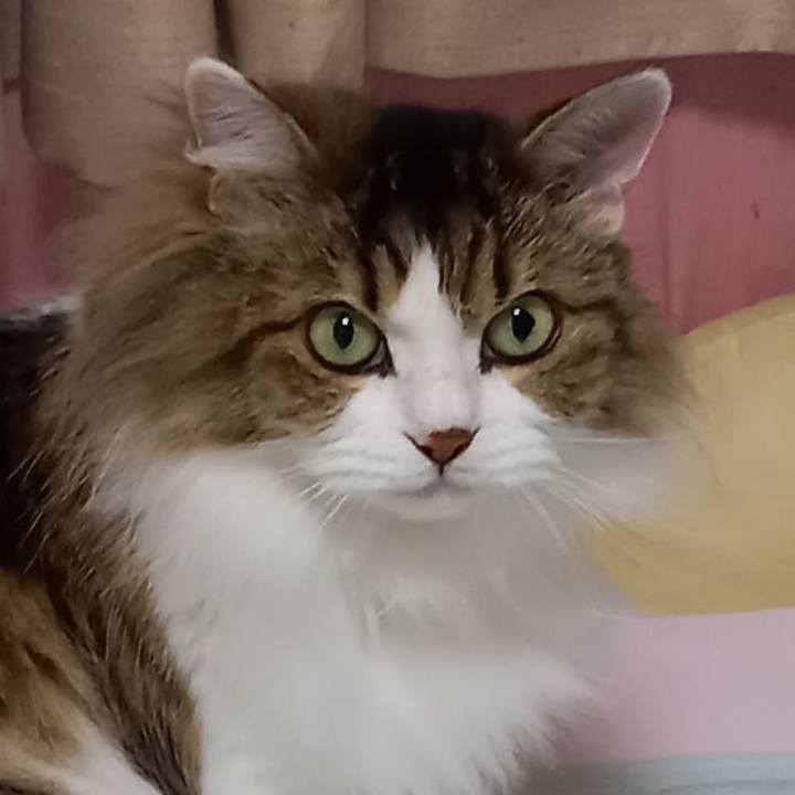 9fdd2891 5b3c 486c a6a4 22ae5d57eb41 1656728910539