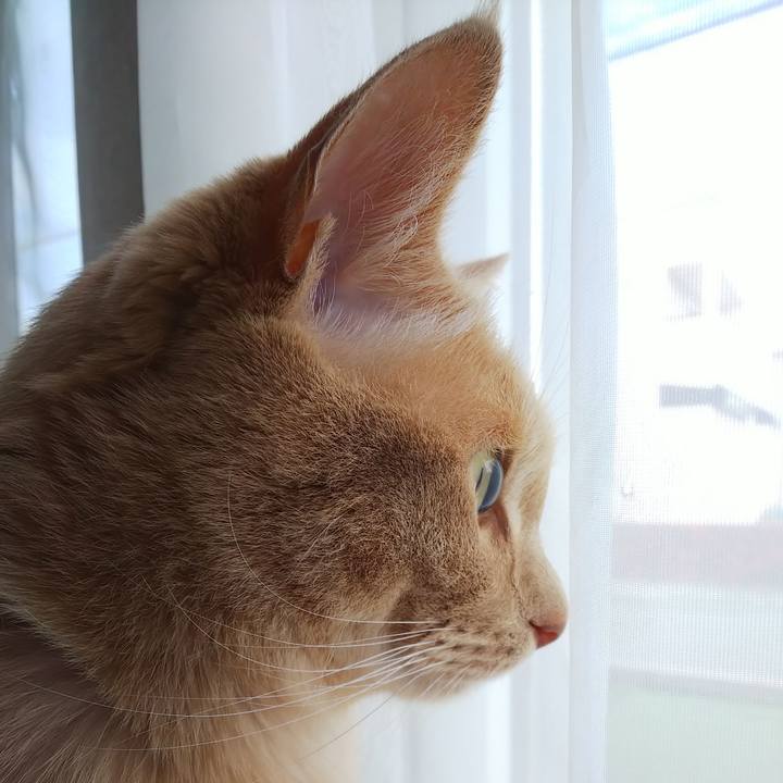 9fdd636f 318c 4b9a b26e 5ed93f99e860 1657351306343